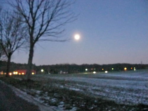 fullmoon over the field
