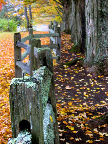 Vermont Fence