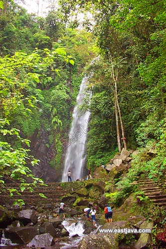Kakek Bodo Waterfall - Pasuruan
