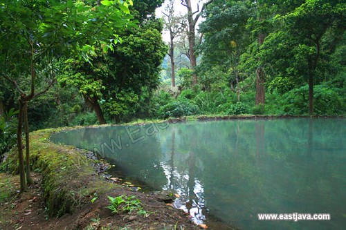 Damar Wulan Natural Pool