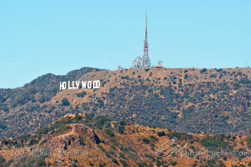 Hollywood sign from Griffith Park Observatory by Elisa Sherman | photosbyelisa.com