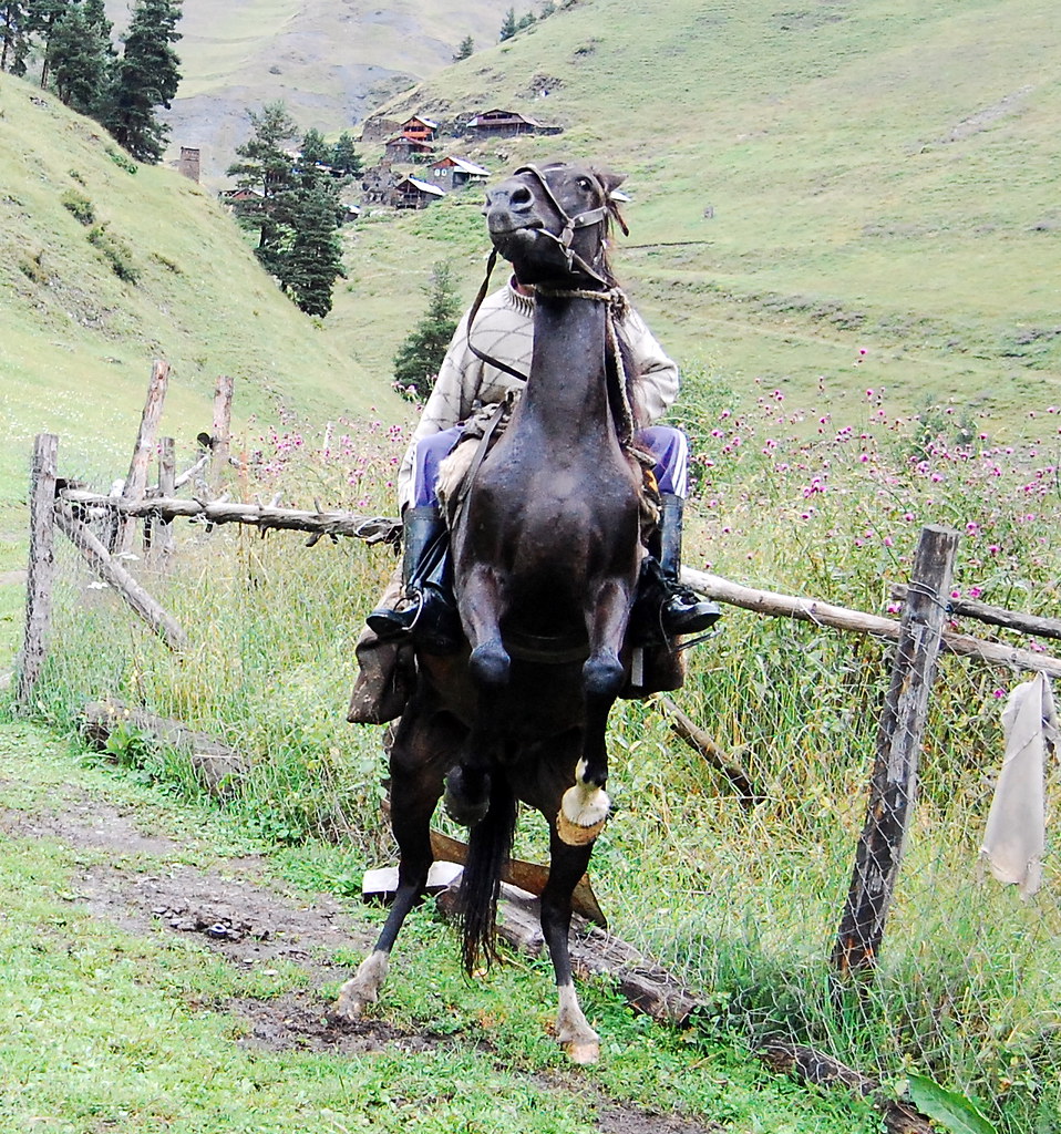 tuscheti Mirza on Horseback