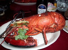 Lobster_90509