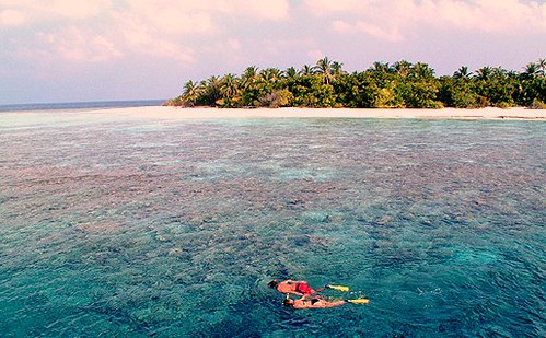 Maldives Snorkelling : Explore