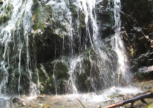 Another waterfall on Glen Burney Trail