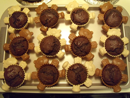 Double Chocolate Chocolate Chip Muffins