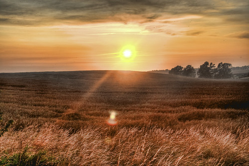  フリー画像| 自然風景| 草原の風景| 夕日/夕焼け/夕暮れ| HDR画像|       フリー素材| 