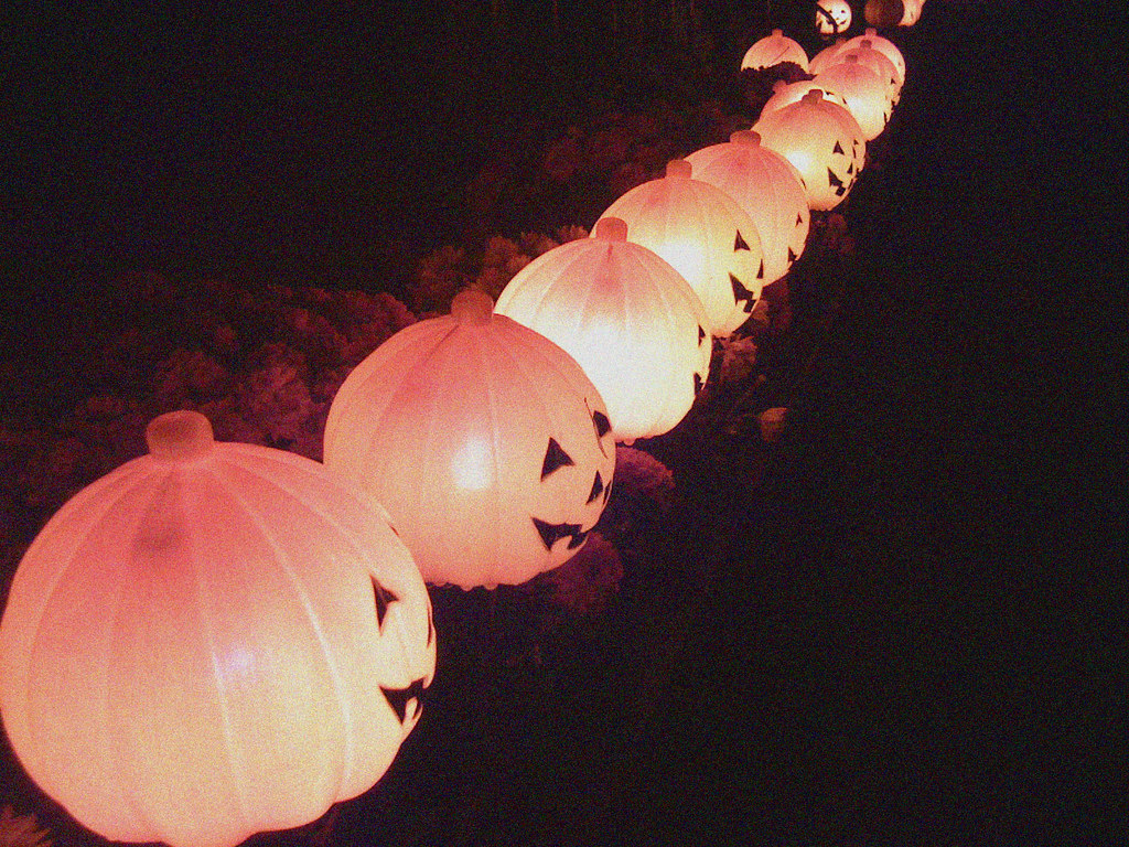 jack o lanterns 2
