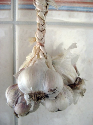 Braided Garlic
