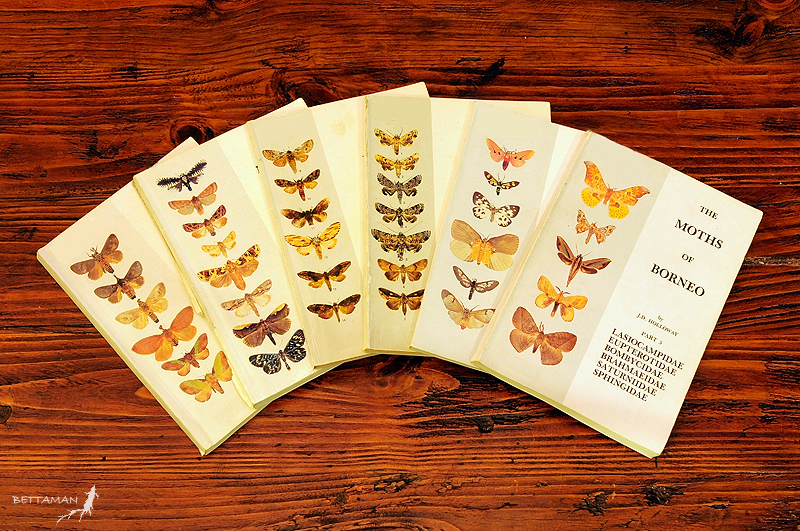 The Moths of Borneo Series