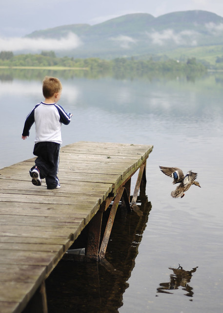 jaydn chasing the ducks at the chalet by Ful-O-Face Photography Services