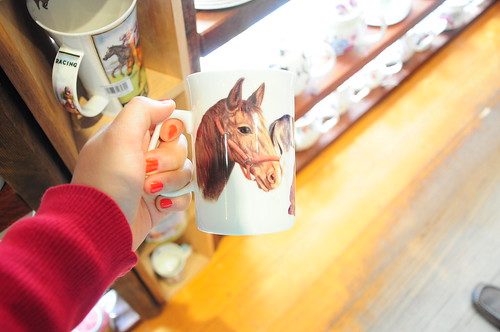 My new horse cup