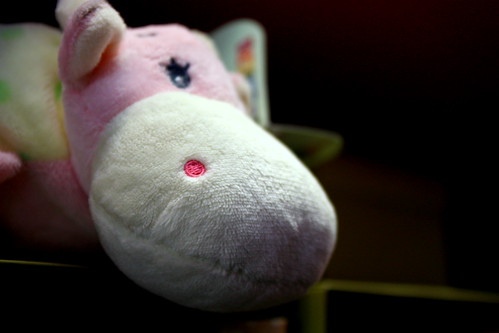 Hippo~ Buy Me Please!