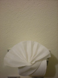 Mexican TP Folding