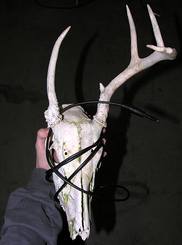BONELUST - Deer Skull Microphone Top