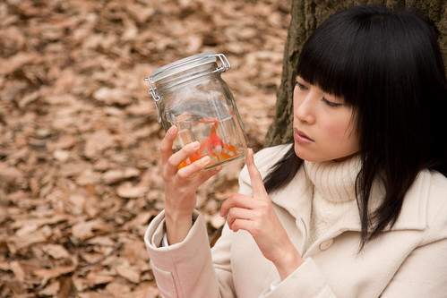 She (Rukino Fujisaki) looks at the goldfish