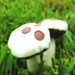 Felt mushrooms par the Birch Perch