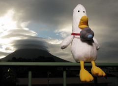 WTD at Arenal Volcano
