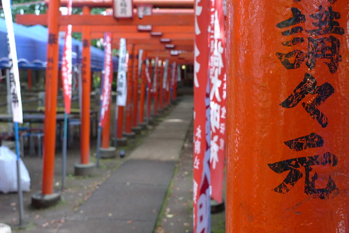 Torii (shrine gates) of Zoshigaya Kishibojin Temple