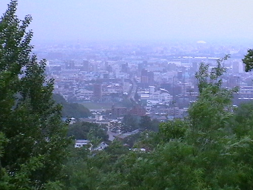 Sapporo City from Top