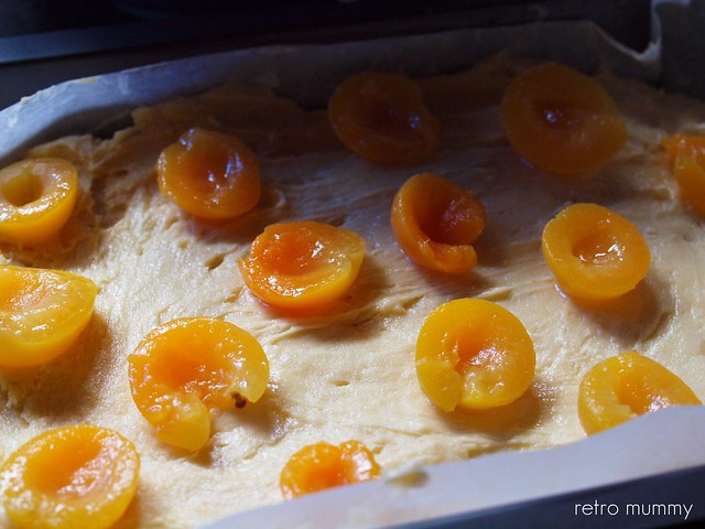 apricot cake before