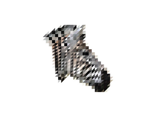 The Sliced Pixel Project Zebra