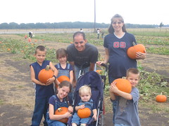 pumpkin patch 2008