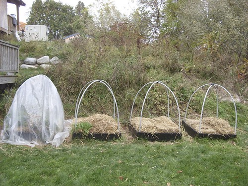 covering the raised beds