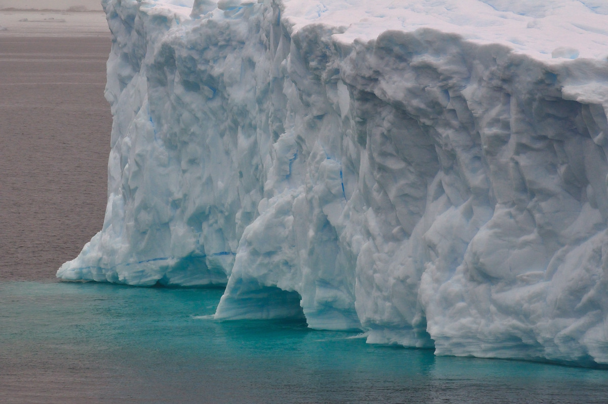 Iceberg @ Gerlache Strait