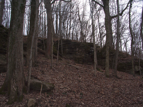 Rock Outcroppings in Percy Warner Park