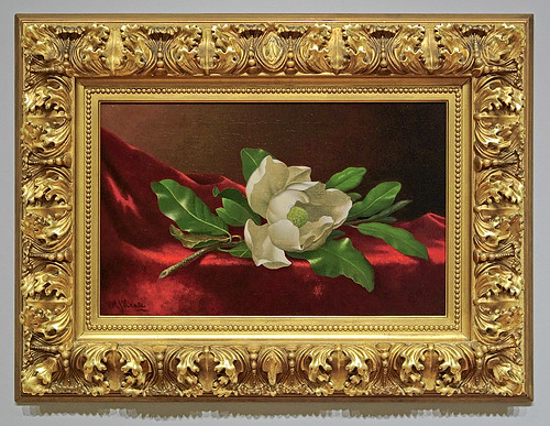 Oil painting, "Magnolia", by Martin Johnson Heade, ca. 1885-1895, at the Saint Louis Art Museum, in Saint Louis, Missouri, USA
