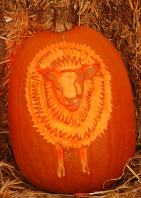 sheepy pumpkin
