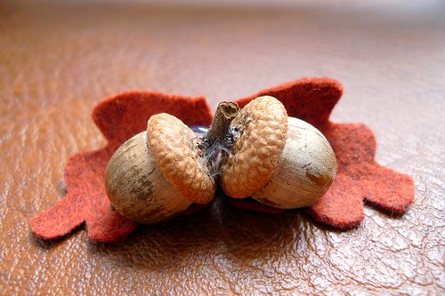 log lady acorn brooch