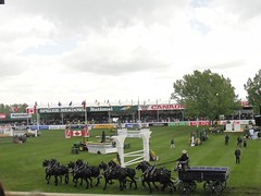Spruce Meadows National 2011 - Jackson Fork Ranch Eight Horse Hitch