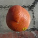 2009.258 . Grapefruit Tumor