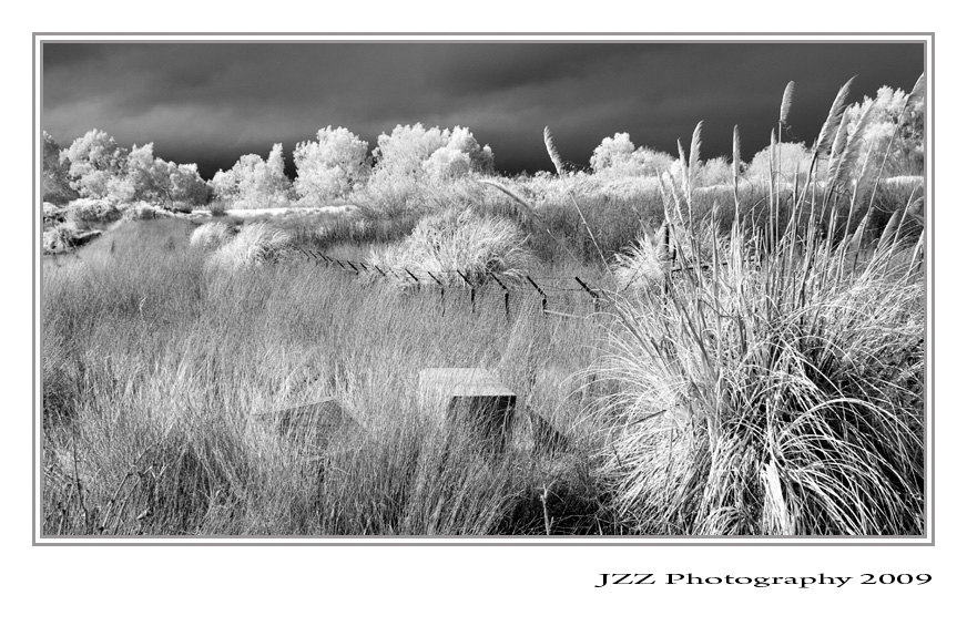 20080223_Infrared_4665s