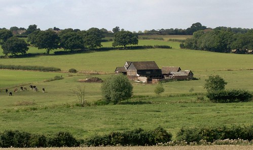 Distant Farm building.