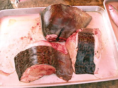 小琉球街上販售的指標性魚類-裸胸鯙