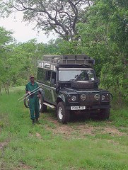 Elephant tracking, Majete, Malawi 1