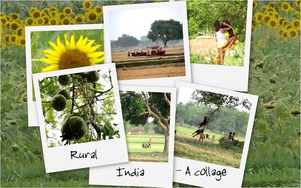 Rural India collage
