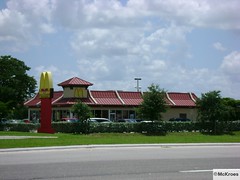 McDonald's Fort Myers 8177 Dani Drive (USA)