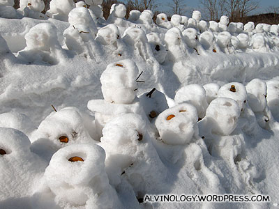 Decomposing snowmen