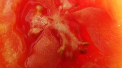 Tomato (no umlaut)