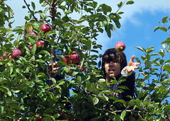 Apple picking 2009 043-5x7