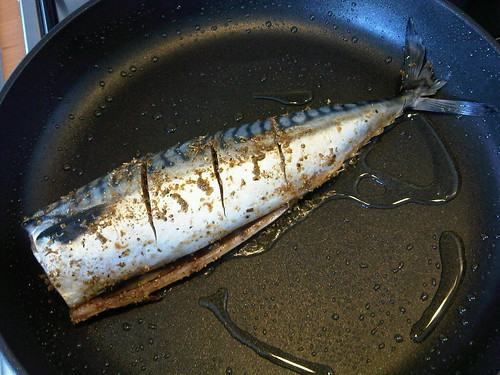 Cajun mackerel 2