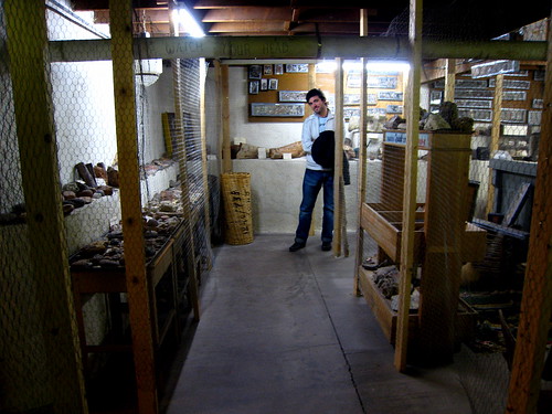 Basement rock and fossil collection