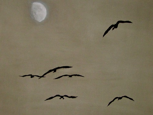 .... flight of the moon