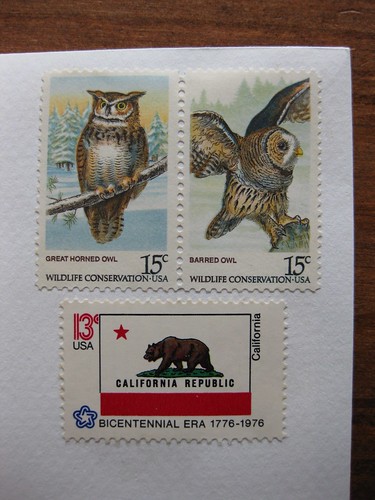 Owls + California