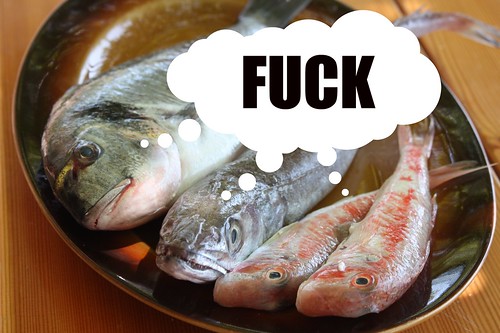 Fishes from Hvar