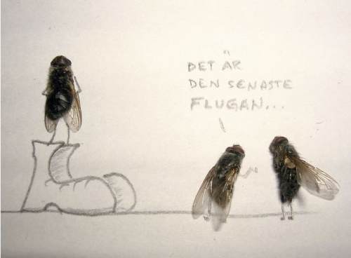 dead-flies-art-8